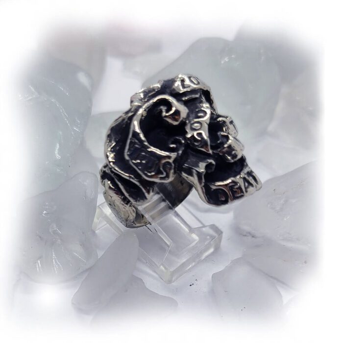 Ribbon Skull Silver Ring 3